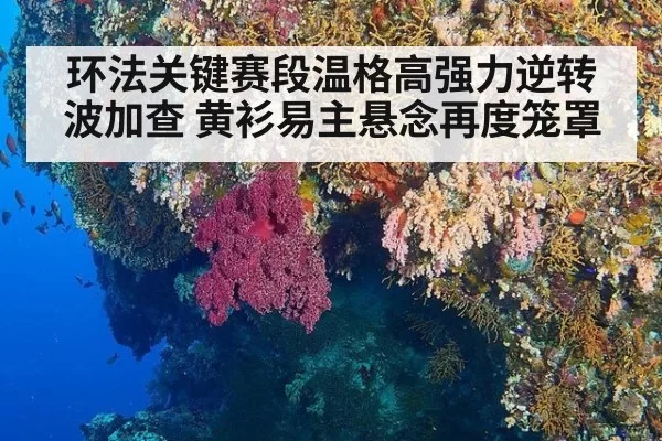 环法关键赛段温格高强力逆转波加查 黄衫易主悬念再度笼罩