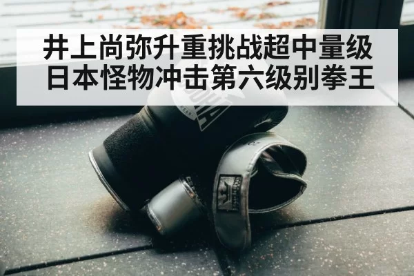 井上尚弥升重挑战超中量级 日本怪物冲击第六级别拳王