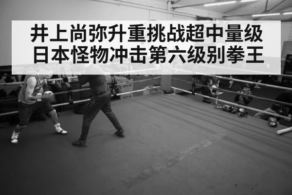 boxer training gym