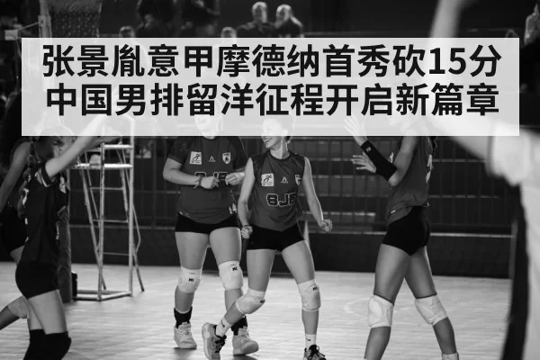 Italian volleyball league match