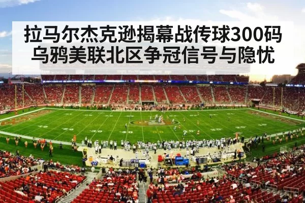 nfl stadium crowd night game