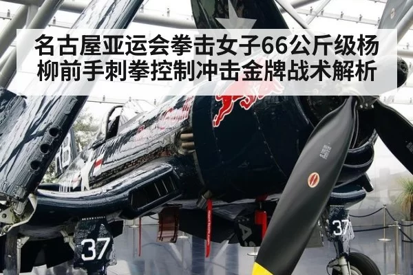 名古屋亚运会拳击女子66公斤级杨柳前手刺拳控制冲击金牌战术解析