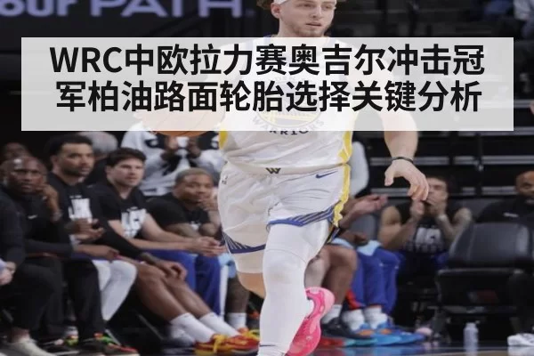 WRC中欧拉力赛奥吉尔冲击冠军柏油路面轮胎选择关键分析