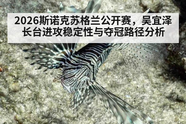 2026斯诺克苏格兰公开赛,吴宜泽长台进攻稳定性与夺冠路径分析